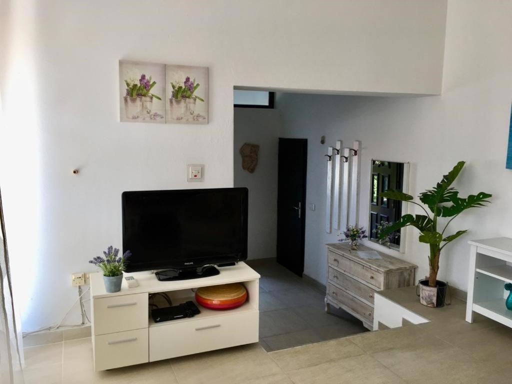Apartment Lavanda Molat Exterior photo